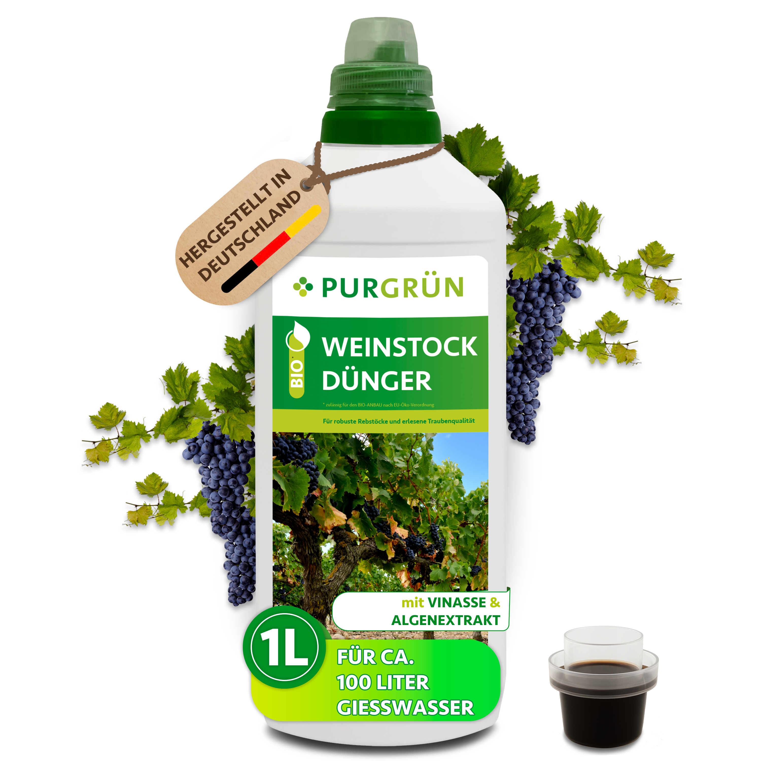 Weinstock Dünger Bio flüssig 1 L, mit Algenextrakt & Vinasse, für aromatische Trauben – Purgrün