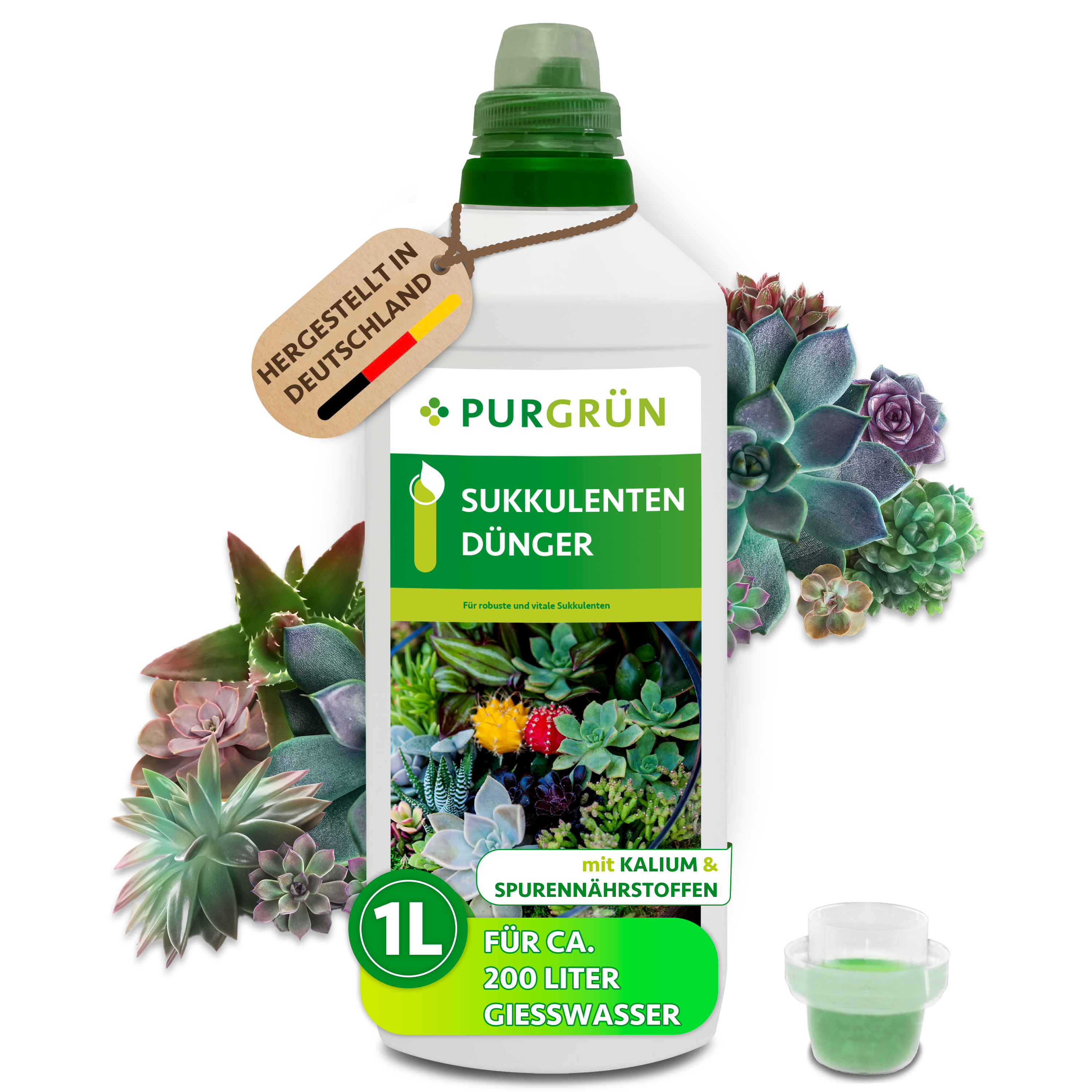 Sukkulenten Dünger flüssig 1 L für 200 L Gießwasser, für kräftige Farben & Blüten – Purgrün