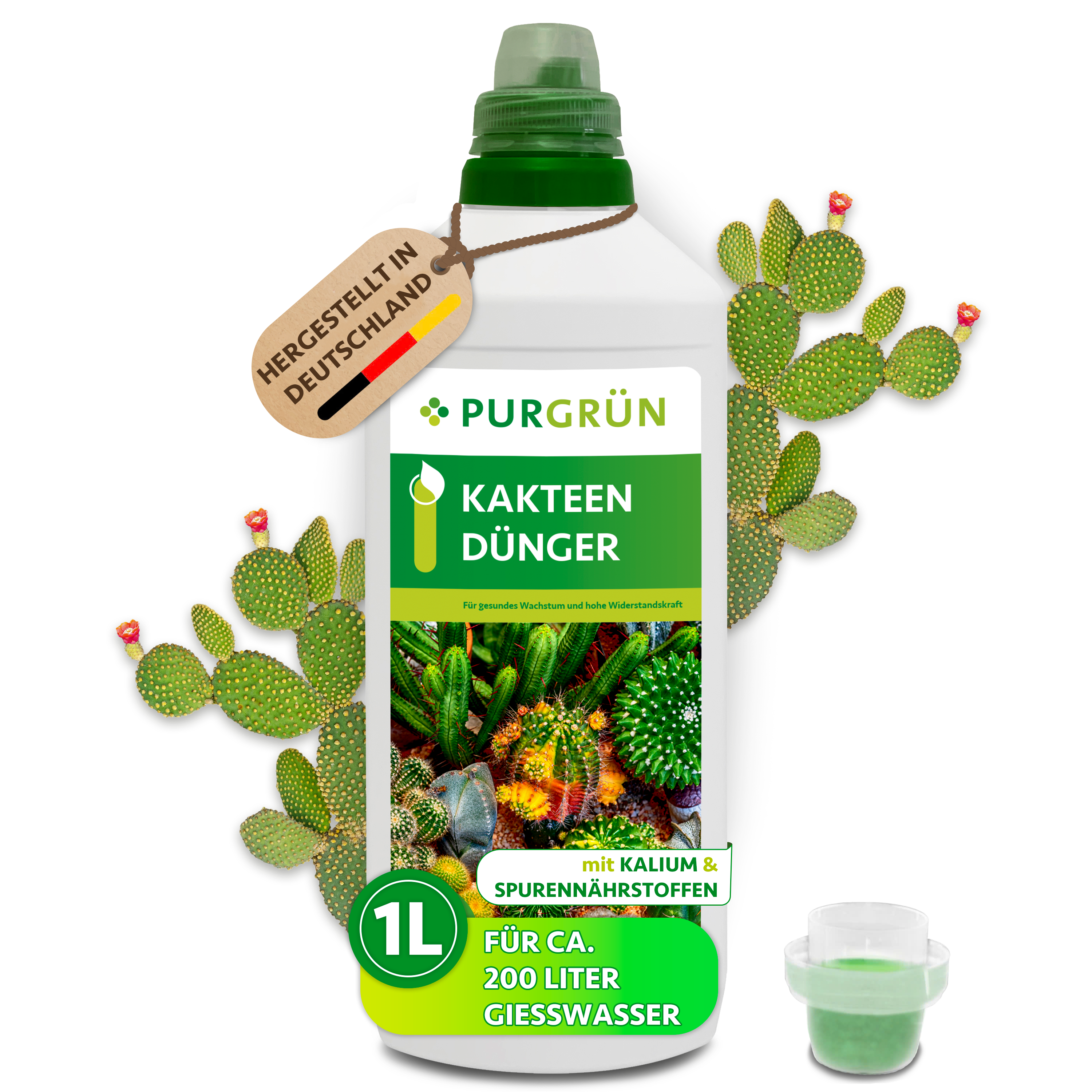 Purgrün / Kakteendünger flüssig 1 L, kaliumreich, für kompaktes Wachstum & Blütenbildung