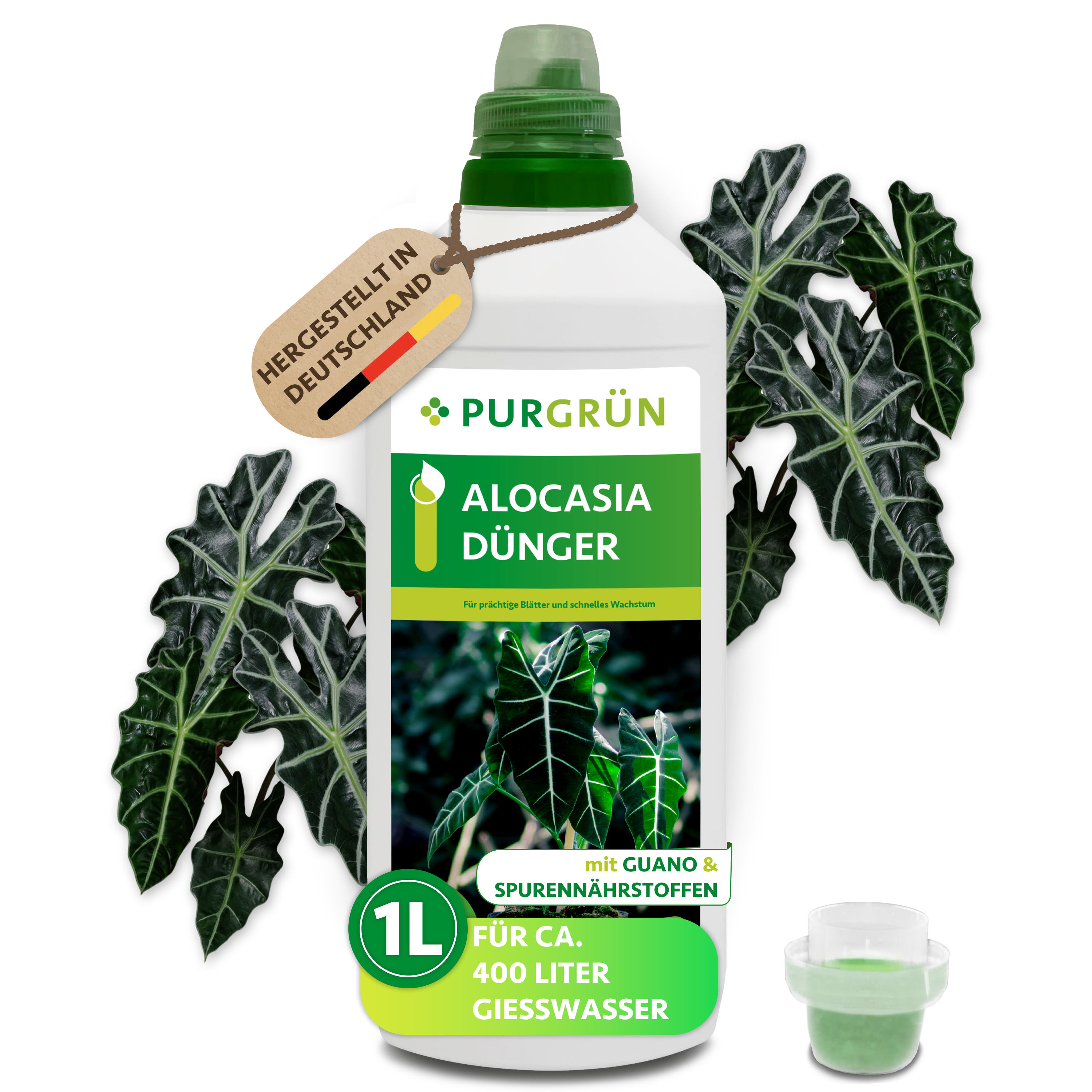Alocasia Dünger flüssig 1 L, für 400 L Gießwasser, mit Guano – Purgrün