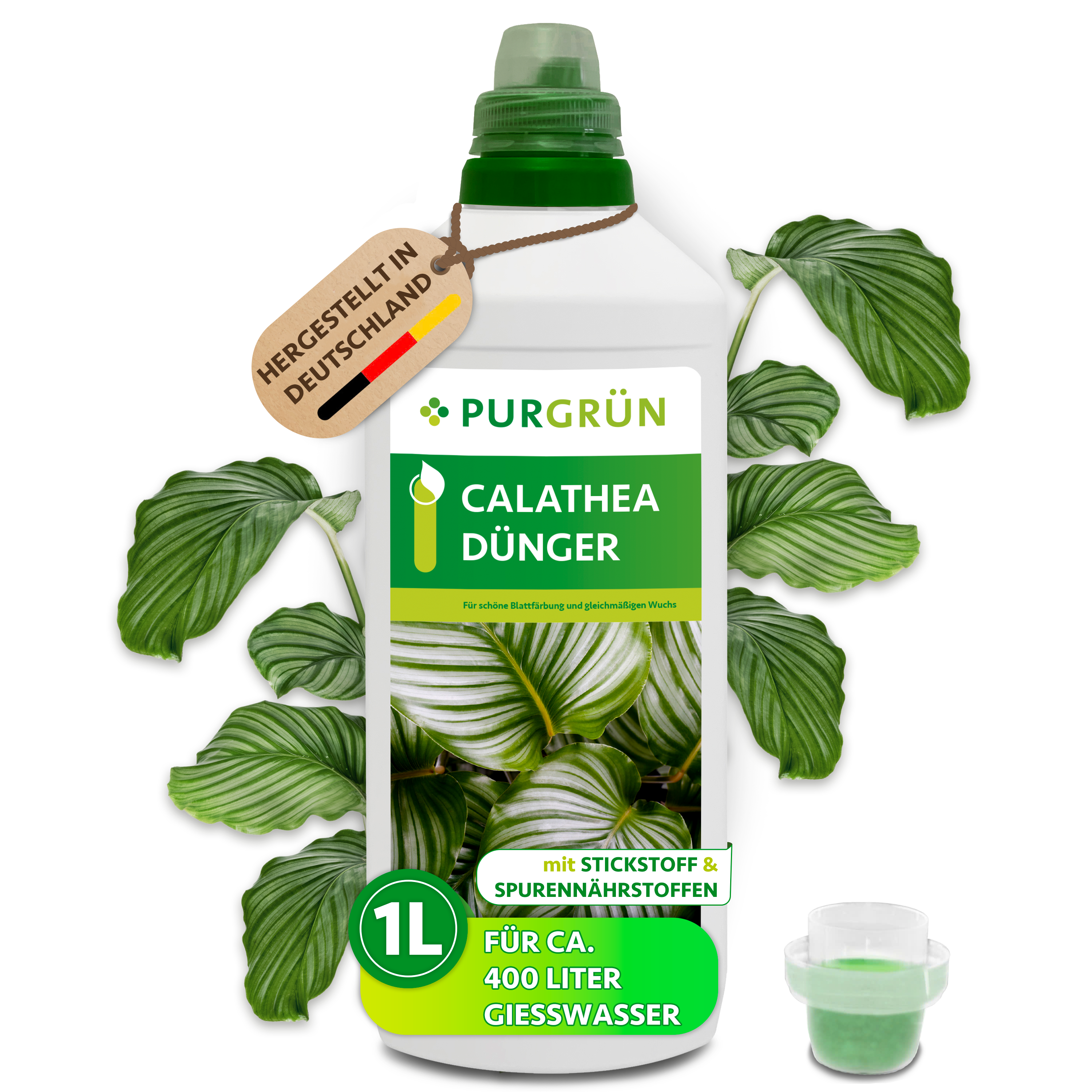 Calathea Dünger flüssig 1 L für 400 L Gießwasser, für kräftige Blattfarben – Purgrün